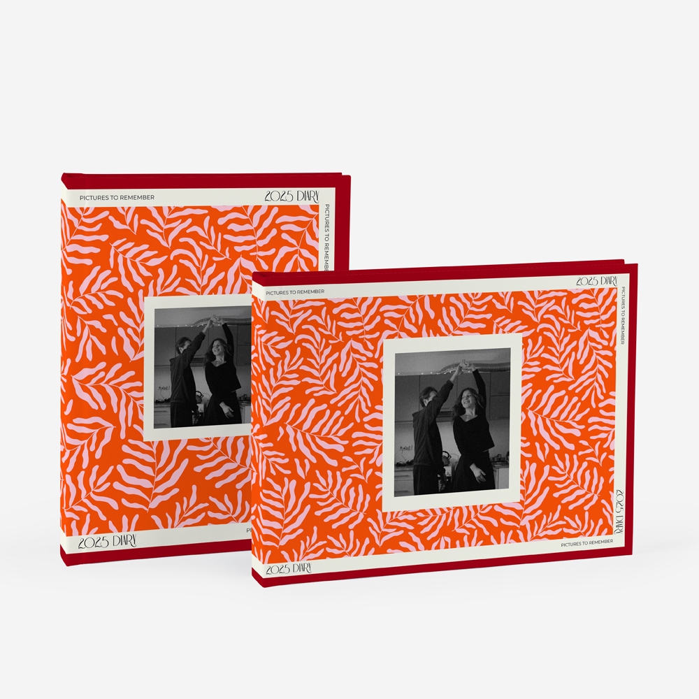 Álbum Pictures to Remember 2